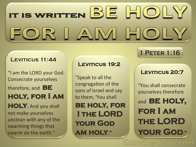 1 Peter 1:16 Leviticus Be Holy For I Am Holy (gold)